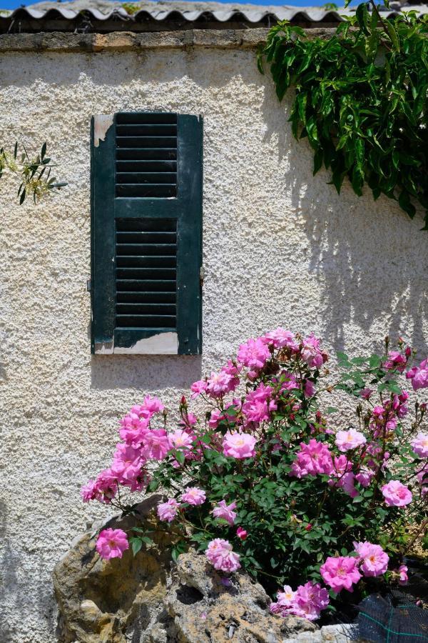 Harmony Corfu Apartments & Studios Exterior photo